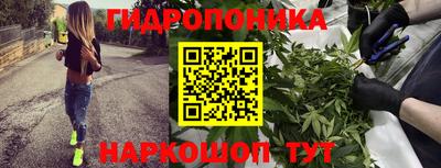прущие грибы Комсомольск-на-Амуре