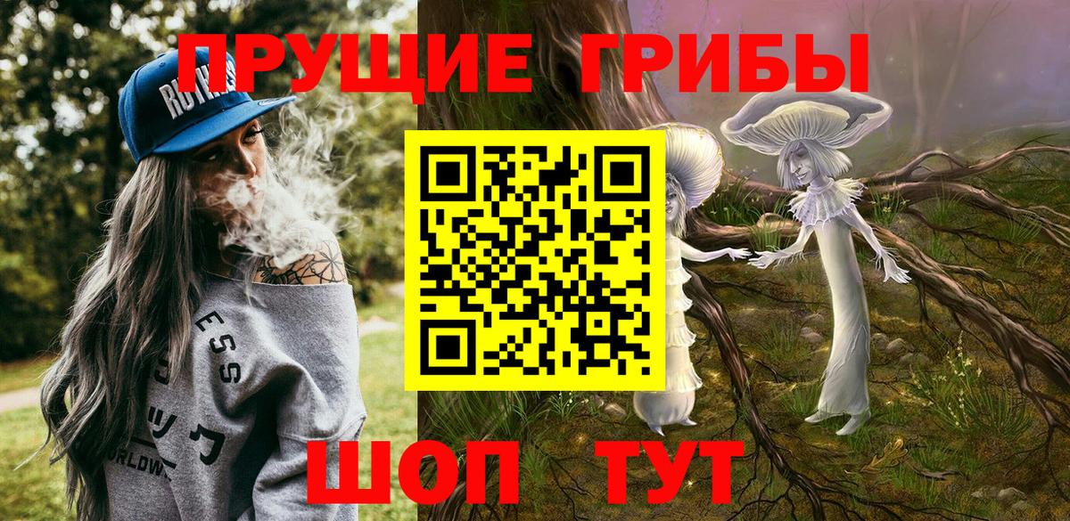 где купить наркотик  Псилоцибиновые грибы Psilocybine cubensis  Вход с VPN  Киселёвск 