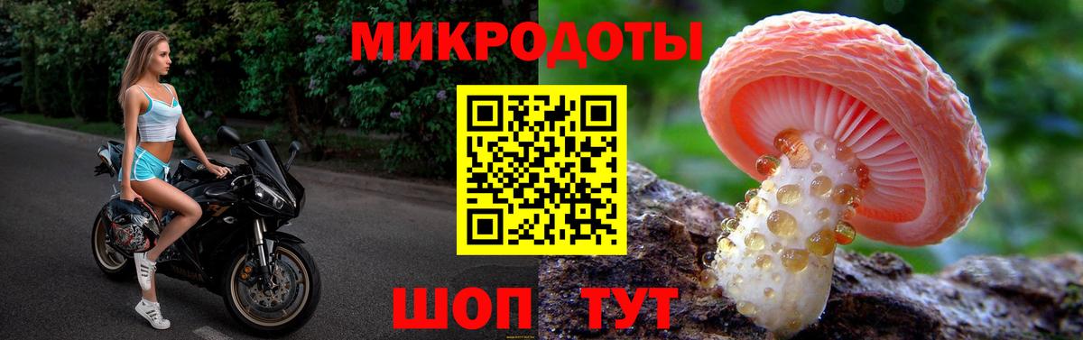 Псилоцибиновые грибы Psilocybine cubensis Киселёвск